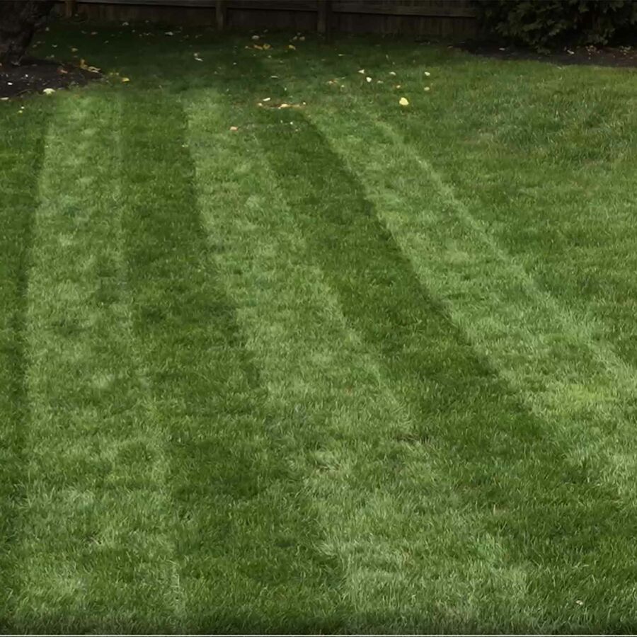 Toro 60V MAX* 21 in. (53cm) Stripe® Push Lawn Mower - 4.0Ah Battery Included (21611)