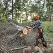 STIHL MS 462 C-M