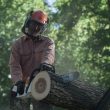 STIHL MS 251 WOOD BOSS®