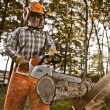 STIHL MSA 160 C-B