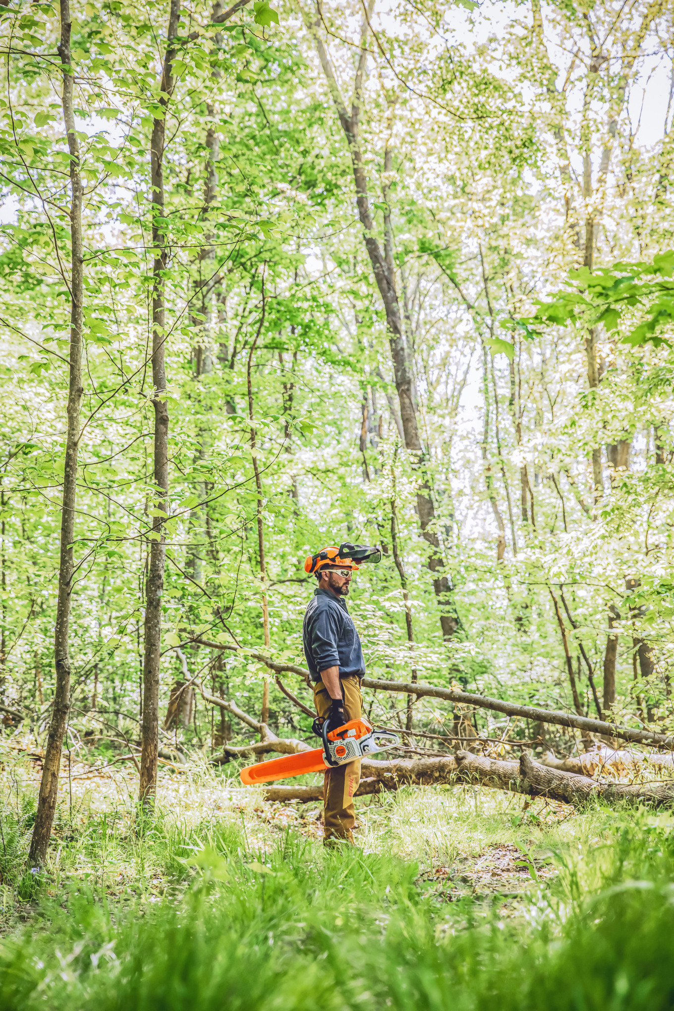 STIHL MS 391 Gasoline Chainsaw