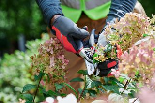 RedMax Hand Pruner - Technical