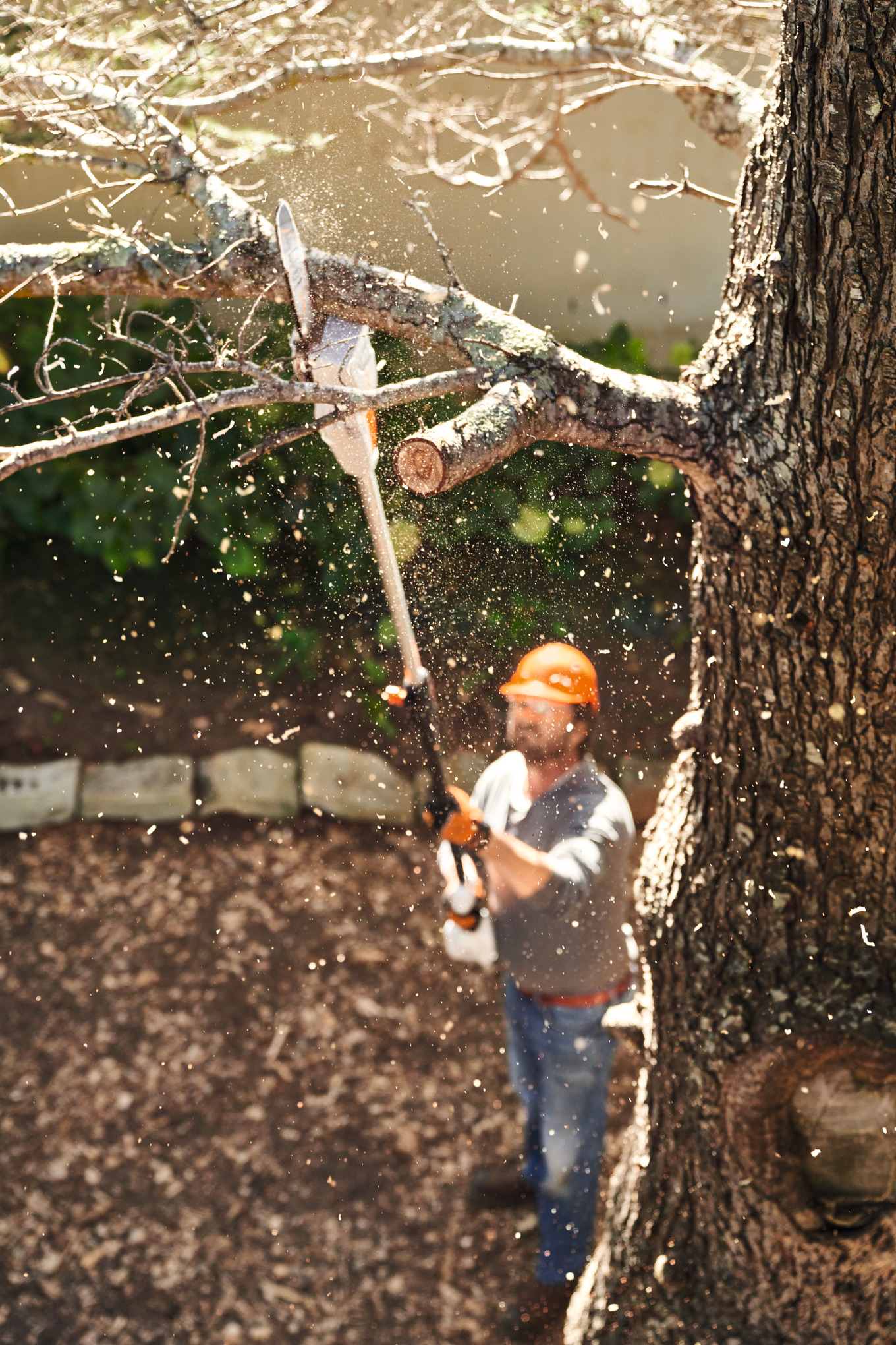 STIHL HTA 50 Battery Powered Pole Pruner